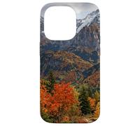 Custodia per iPhone 14 Pro Paesaggio panoramico delle cime delle montagne della valle d'autunno al