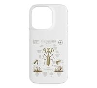 Custodia per iPhone 14 Pro Pregare Mantide Anatomia Vintage Field Guide Art