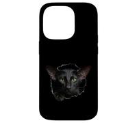 Custodia per iPhone 14 Pro Striking Black Oriental Shorthair Cat che sbircia attraverso