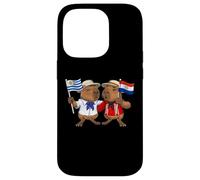 Custodia per iPhone 14 Pro Uruguay Paraguay Radici Bandiera Uruguayana Orgullosa