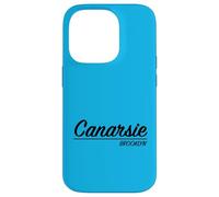 Custodia per iPhone 14 Pro Vecchia scuola New York Retro Canarsie Brooklyn Quartiere