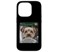 Custodia per iPhone 14 Pro Yorkshire Terrier c'è movimento alla tua porta di casa Yorkie