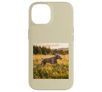 Custodia per iPhone 14 Weimaraner - Campi in esecuzione al tramonto