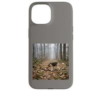 Custodia per iPhone 15 Beagle Tracking Forest Trail Nebbia Scena del bosco