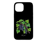 Custodia per iPhone 15 Illustrazione della pianta di ribes nero Ribes nigrum
