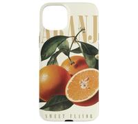 Custodia per iPhone 15 Plus Arancia Vintage Aroma Tropicale Frutta Biologica Arte Botanica