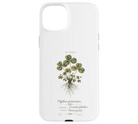 Custodia per iPhone 15 Plus Artistic St Patricks Day Quadrifoglio Botanico Vintage