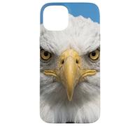 Custodia per iPhone 15 Plus Bald Eagle Close Up Ritratto Sharp Wildlife Face