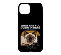 Custodia per iPhone 15 Plus Cosa stai facendo qui Gatto Siamese Ansioso