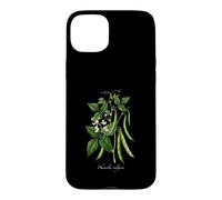 Custodia per iPhone 15 Plus Illustrazione della pianta del fagiolo francese Phaseolus vulgaris