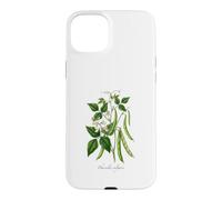 Custodia per iPhone 15 Plus Illustrazione della pianta del fagiolo francese Phaseolus vulgaris