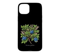 Custodia per iPhone 15 Plus Illustrazione della pianta del mirtillo Vaccinium corymbosum