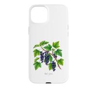 Custodia per iPhone 15 Plus Illustrazione della pianta di ribes nero Ribes nigrum