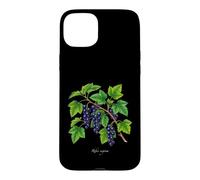 Custodia per iPhone 15 Plus Illustrazione della pianta di ribes nero Ribes nigrum