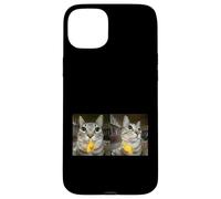 Custodia per iPhone 15 Plus Meme di Silly Staring Cat, divertente disegno felino