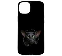 Custodia per iPhone 15 Plus Striking Black Oriental Shorthair Cat che sbircia attraverso