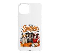 Custodia per iPhone 15 Plus Tis The Season Halloween Border Collie Pumpkin Costume