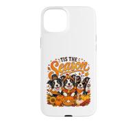 Custodia per iPhone 15 Plus Tis The Season Thanksgiving Border Collie Pumpkin Costume
