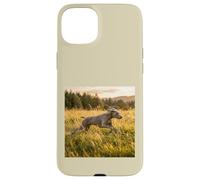 Custodia per iPhone 15 Plus Weimaraner - Campi in esecuzione al tramonto