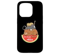 Custodia per iPhone 15 Pro Awesome Summer Pet Cat Fruits One in a Melon Watermelon