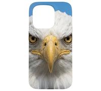 Custodia per iPhone 15 Pro Bald Eagle Close Up Ritratto Sharp Wildlife Face