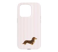 Custodia per iPhone 15 Pro Bassotto a pelo lungo marrone e crema a righe rosa