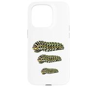 Custodia per iPhone 15 Pro Black Swallowtail Caterpillar Studio Papilio Polyxenes Larva