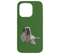 Custodia per iPhone 15 Pro Cane Kangal che sbadiglia vettoriale tagliato