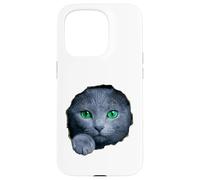 Custodia per iPhone 15 Pro Colpisce il gatto blu russo con gli occhi verdi che sbirciano attraverso