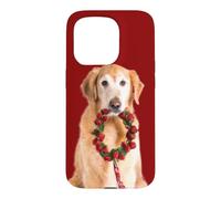 Custodia per iPhone 15 Pro Corona d'Avvento natalizia per cani Golden Retriever