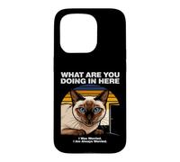 Custodia per iPhone 15 Pro Cosa stai facendo qui Gatto Siamese Ansioso