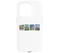 Custodia per iPhone 15 Pro Houston City, Houston Texas Tour turistico Houston Vacanze