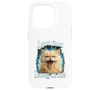Custodia per iPhone 15 Pro I Got That Dawg In Me Cat Shirt Funny Angry Tabby Maine Coon
