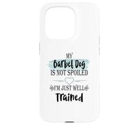 Custodia per iPhone 15 Pro Il mio cane Barbet non è viziato, sono ben addestrato umorismo per animali domestici
