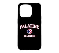 Custodia per iPhone 15 Pro Illinois palatino (IL)