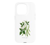 Custodia per iPhone 15 Pro Illustrazione della pianta del fagiolo francese Phaseolus vulgaris