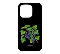 Custodia per iPhone 15 Pro Illustrazione della pianta di ribes nero Ribes nigrum