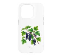 Custodia per iPhone 15 Pro Illustrazione della pianta di ribes nero Ribes nigrum