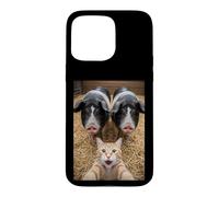 Custodia per iPhone 15 Pro Max Funny Cat Selfie with Pigs Design - Cute Animal Pig Lovers