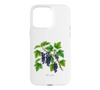 Custodia per iPhone 15 Pro Max Illustrazione della pianta di ribes nero Ribes nigrum