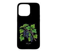 Custodia per iPhone 15 Pro Max Illustrazione della pianta di ribes nero Ribes nigrum