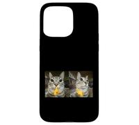 Custodia per iPhone 15 Pro Max Meme di Silly Staring Cat, divertente disegno felino