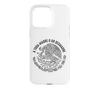 Custodia per iPhone 15 Pro Max México Saying Souvenir Slang Meme Sarcastic Quote Hispanic