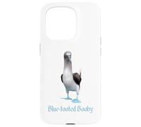 Custodia per iPhone 15 Pro Ornitologia della razza di uccelli Booby dai piedi blu