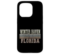 Custodia per iPhone 15 Pro Rifugio invernale retrò Florida