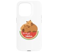 Custodia per iPhone 15 Pro Rodents Summer Fruits One in a Melon Capybara