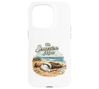 Custodia per iPhone 15 Pro The Somerton Man Unsolved Beach Mystery