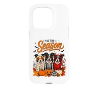 Custodia per iPhone 15 Pro Tis The Season Halloween Border Collie Pumpkin Costume