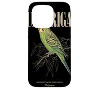 Custodia per iPhone 15 Pro Vintage Budgerigar Bird Watching Arte Natura Amore Uccelli