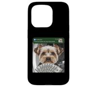 Custodia per iPhone 15 Pro Yorkshire Terrier c'è movimento alla tua porta di casa Yorkie